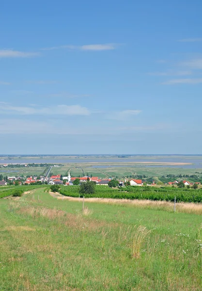 Moerbisch, Neusiedler Meer, burgenland, Oostenrijk — Stockfoto