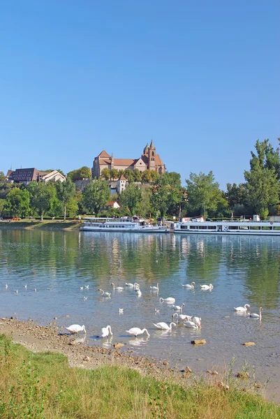 Breisach am rhein, Μέλανα Δρυμό, Γερμανία — Φωτογραφία Αρχείου