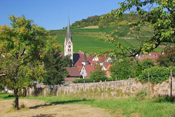 Route des vins de Baden, Forêt Noire, Allemagne — Photo