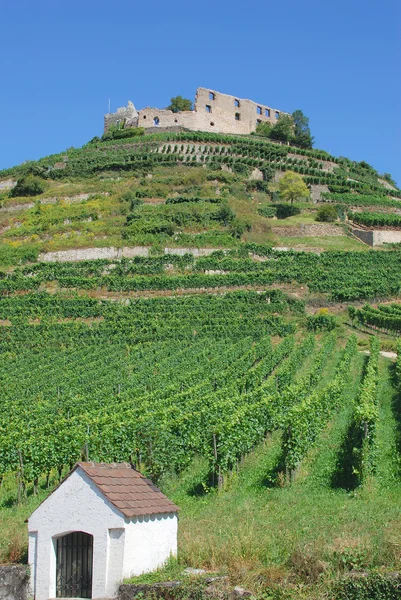 Staufen, чорний ліс, Німеччина — стокове фото