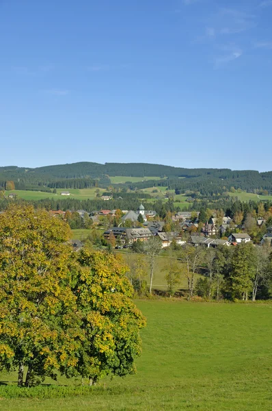 Hinterzarten,Black Forest,Germany — Stock Photo, Image