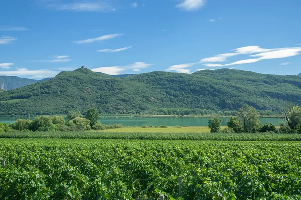 Jezioro caldaro, południowy tyrol w pobliżu merano, Włochy — Zdjęcie stockowe