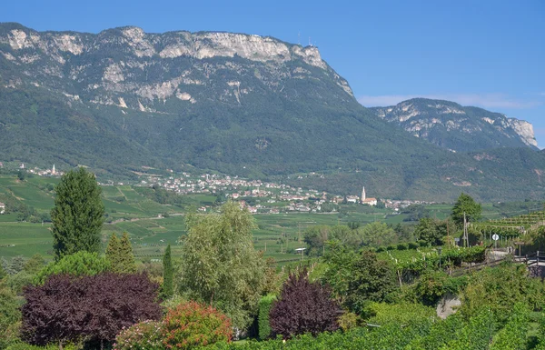 Kaltern, Südtirol bei Meran, Italien — Stockfoto
