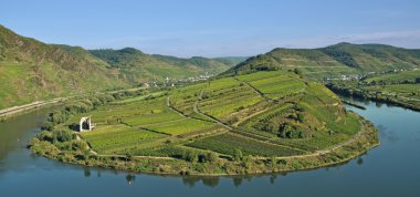 Bremm,Mosel River,Mosel Valley,Germany clipart