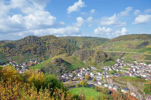 Vineyard Landscape in Ahr Valley near Bad Neuenahr — Stock Photo, Image