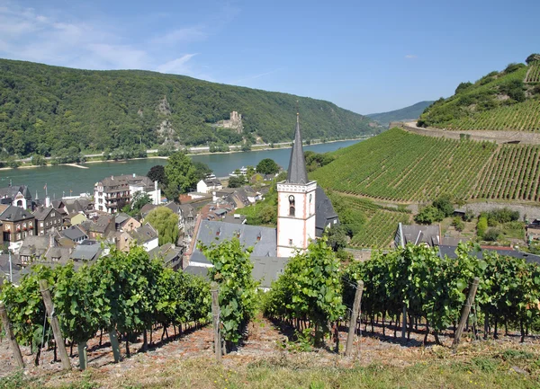 Assmannshausen, Ruedesheim, Rhine River — стоковое фото