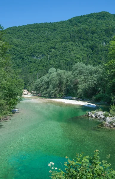 River Sava Bohinjka,Triglav National Park,Slovenia — Stock Photo, Image