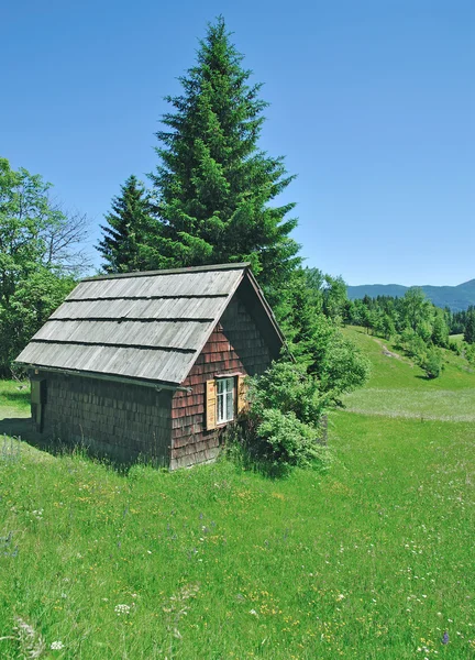 Pokljuka Plateau, Parque Nacional de Triglav, Eslovénia — Fotografia de Stock