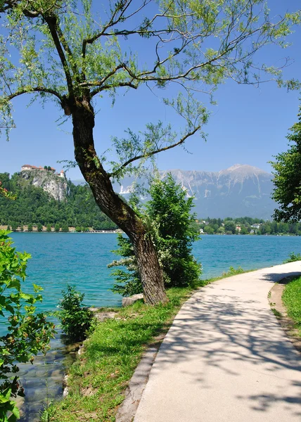 Passeio público em torno do Lago Bled, Eslovênia — Fotografia de Stock