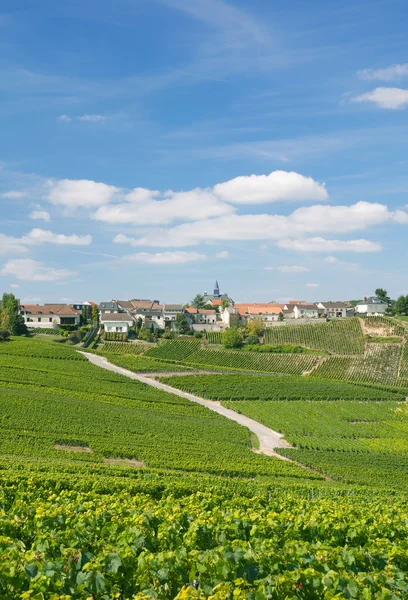 Cramant, Champagne Region, Francia — Foto de Stock
