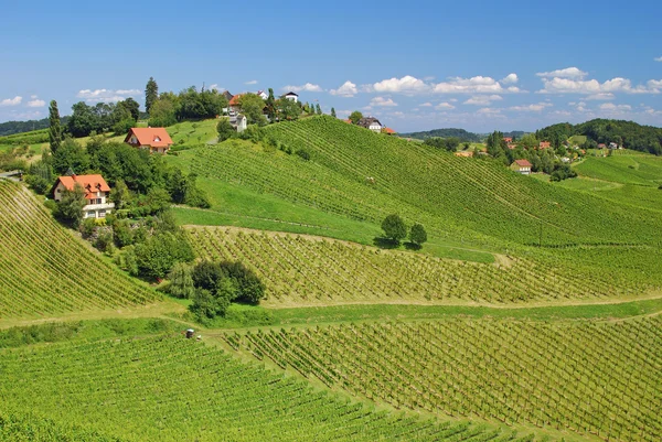 Uit Toscane, Stiermarken, Oostenrijk — Stockfoto