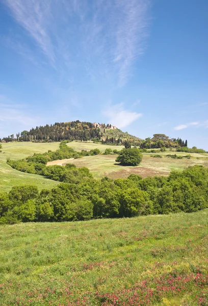 Toskana pastoral manzara — Stok fotoğraf