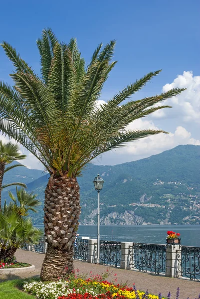 Menaggio, Lago de Como, Italia — Foto de Stock