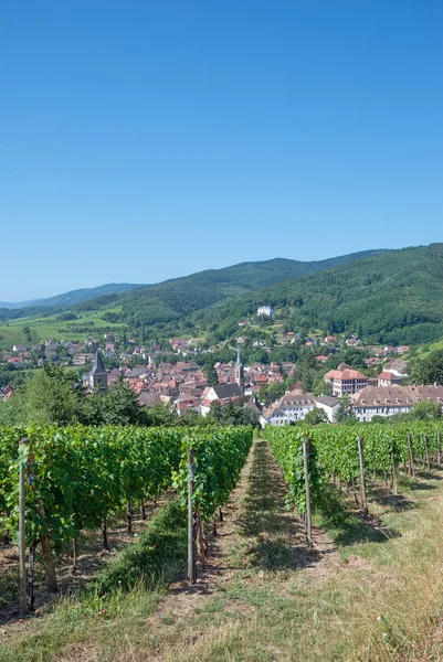 Ribeauville, Alsacia, Francia — Foto de Stock