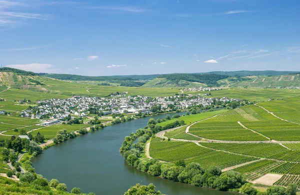 Leiwen, Mosel River, Rhineland-Palatinate, Germany — стоковое фото