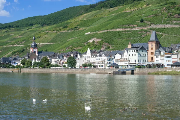 Zell, Mosel Nehri'nin, Rhineland-Palatinate, Almanya — Stok fotoğraf