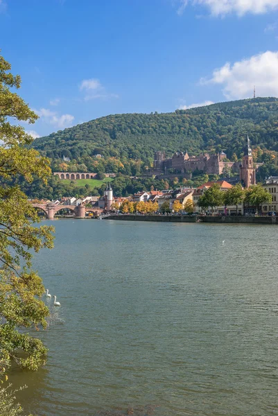 Ünlü Köyü heidelberg, neckar Nehri, Almanya — Stok fotoğraf