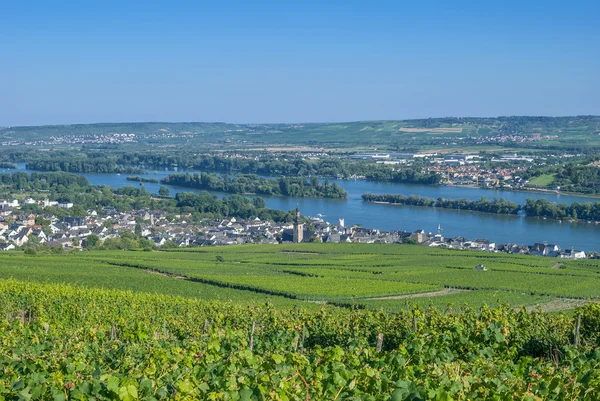 Ruedesheim, річки Рейн, Німеччина — стокове фото