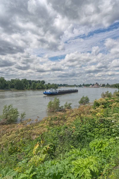 Řeka Rýn Düsseldorfu Benrathu Porýní Německo — Stock fotografie