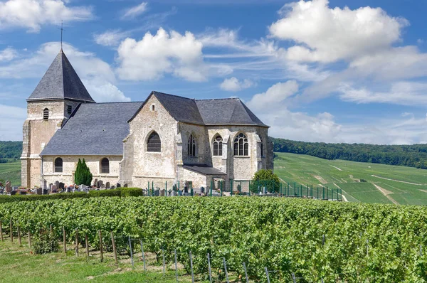 Vinice Regionu Champagne Poblíž Epernay Francie — Stock fotografie