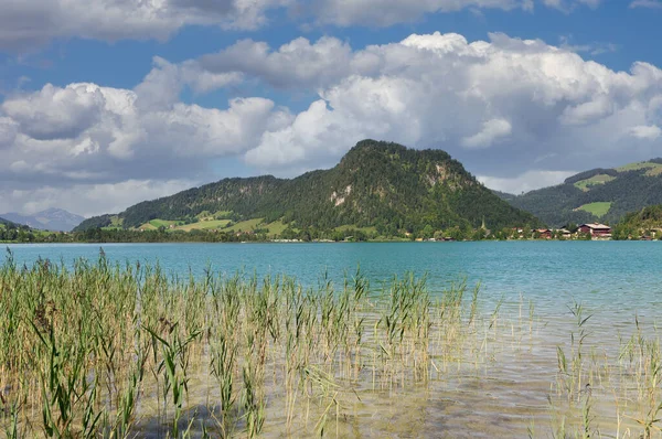 Λίμνη Walchsee Κοντά Στο Kossen Τιρόλο Αυστρία — Φωτογραφία Αρχείου