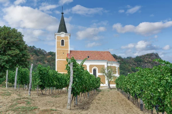 Igreja Vineyard Badacsony Balaton Hungria — Fotografia de Stock