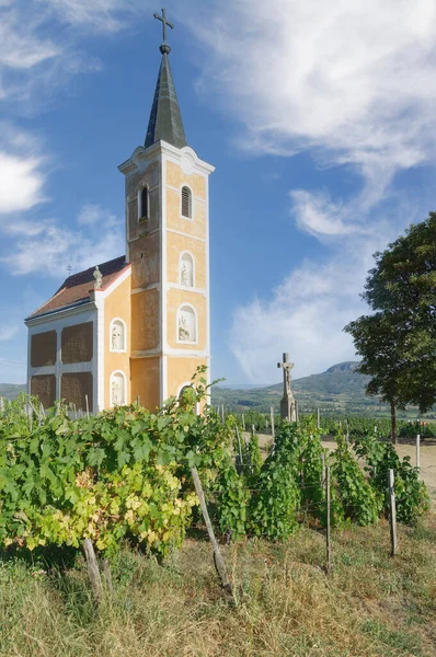 Church Vineyard Badacsony Balaton Hungary — Stock Photo, Image