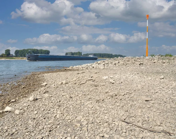 Χαμηλά Ύδατα Στον Ποταμό Ρήνο Ρηνανία Γερμανία — Φωτογραφία Αρχείου