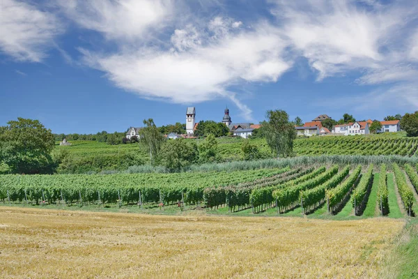 Zell Zellertal Palatinate Wine Region Germany — Fotografia de Stock