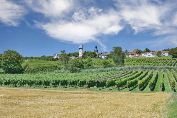 Zell Zellertal Região Vinícola Palatinado Alemanha — Fotografia de Stock