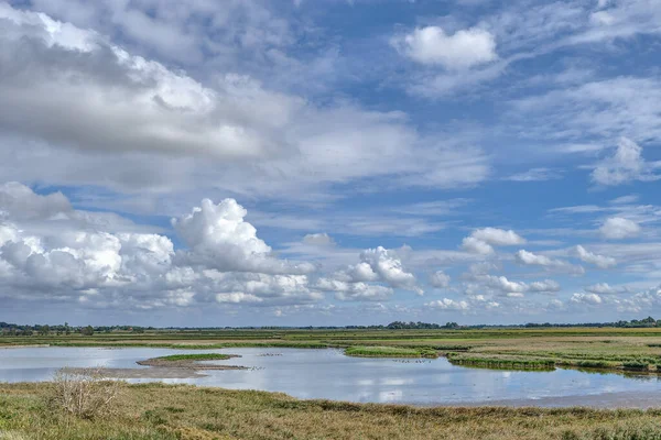 Wester Spaetinge Naturreservat Nära Simonsberg Och Husum Norra Frisien Tyskland — Stockfoto