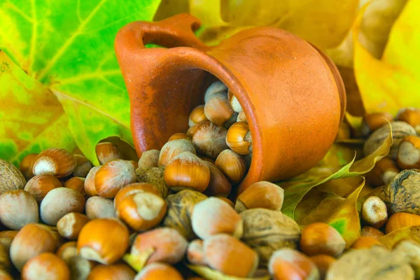 Nuts spilled from ceramic pot — Stock Photo, Image