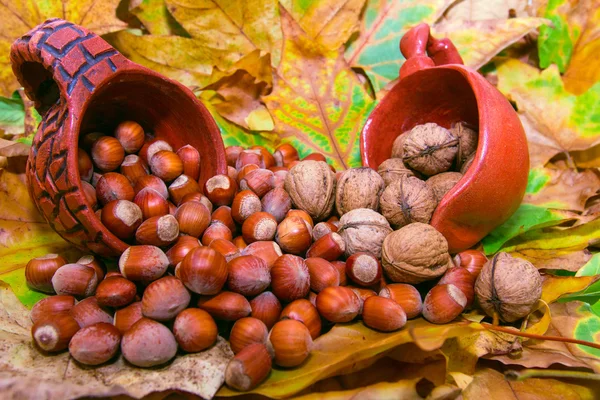 Nuts and hazelnuts spilled from ceramic pots on yellow leaves — Stock Photo, Image