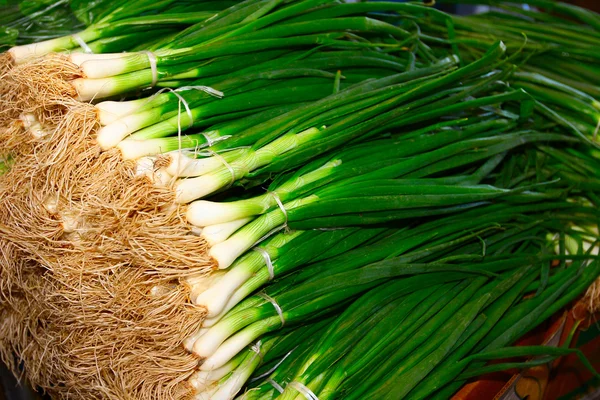 Spring onions — Stock Photo, Image