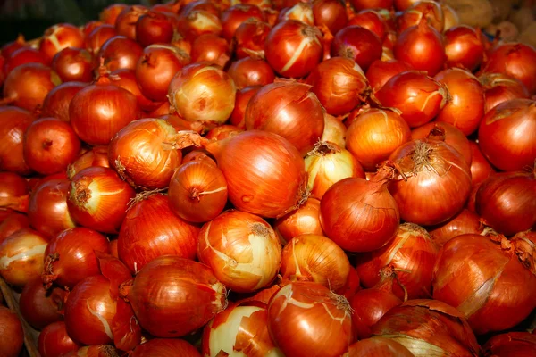 Zwiebeln in einem Haufen — Stockfoto