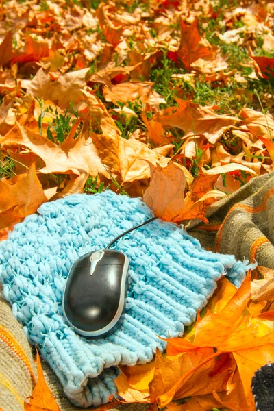 Computer mouse on leaves — Stock Photo, Image