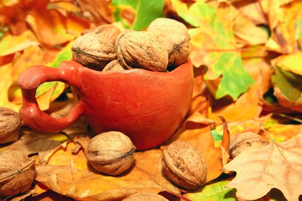 Nuts in ceramic pot — Stock Photo, Image