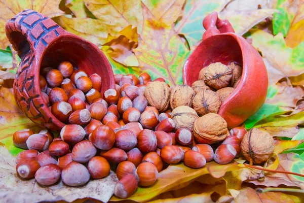 Hazelnuts spilled from ceramic pot — Stock Photo, Image
