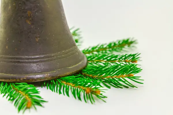 Evergreens de Navidad — Foto de Stock