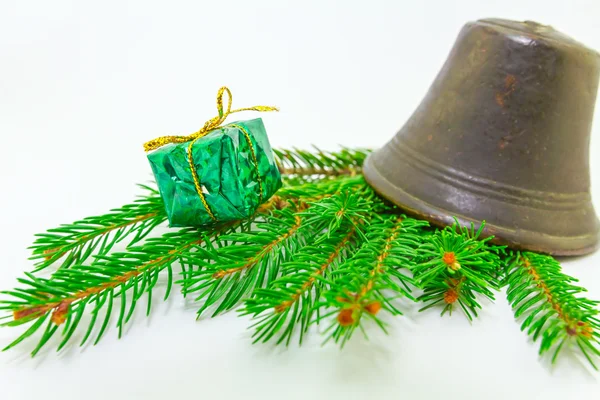 Evergreens — Stock Photo, Image