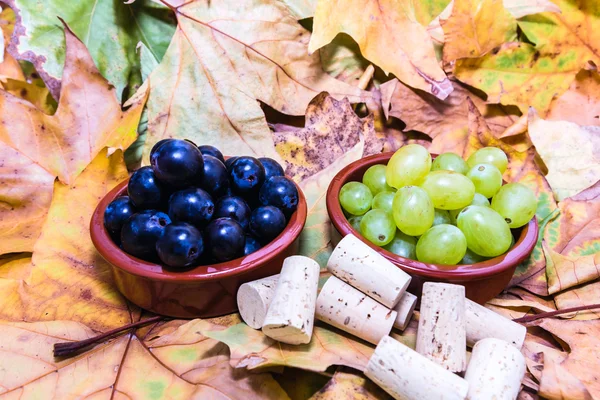 Grape for vine — Stock Photo, Image