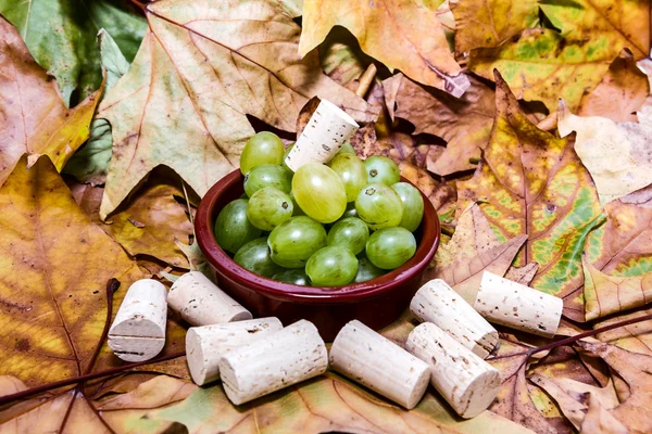 Grape for vine — Stock Photo, Image