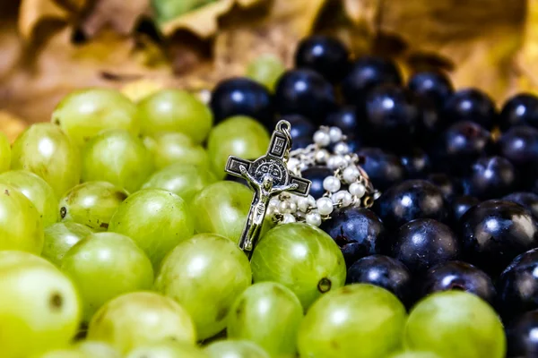 Grape for vine — Stock Photo, Image