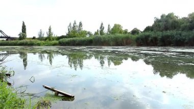 kendi ders bitki örtüsü taşıyan nehir akar