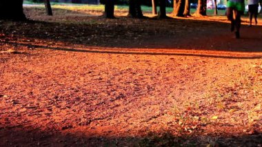 insanlar Park'ta jogging