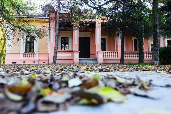 Schloss "jagodic" in konak, vojvodina. — Stockfoto