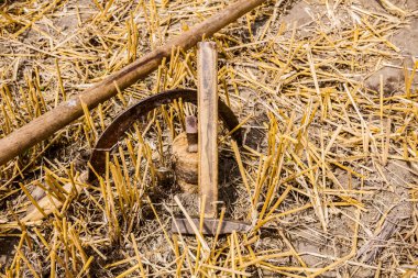 Bir tırpan keskinleştirme araçları