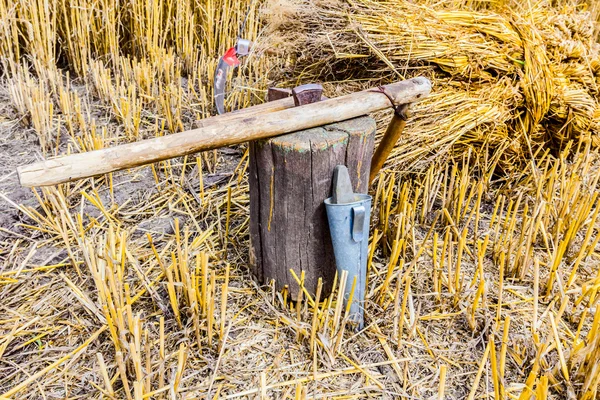 Bir tırpan keskinleştirme araçları — Stok fotoğraf