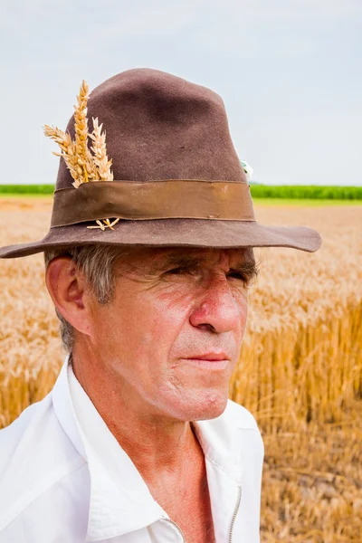 Porträtt av en äldre bonde — Stockfoto