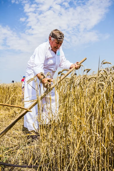 Landwirt mäht Weizen — Stockfoto